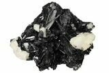 Black Tourmaline (Schorl) Crystals with Orthoclase - Namibia #132194-1